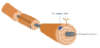 MSguiden nervesystemet axon